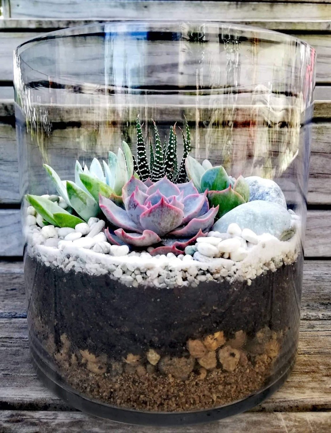 Large Cylinder Terrarium Large Cylinder Terrarium