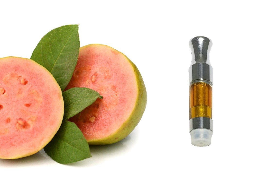 Guava - 1,000 mg cartridge 00020
