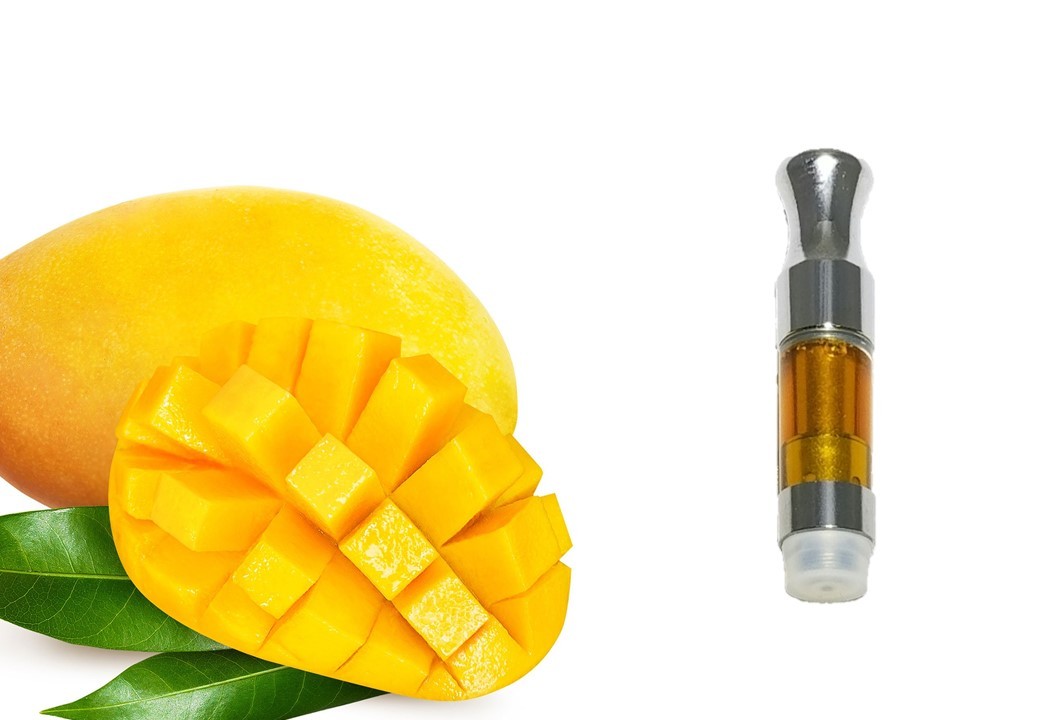 Mango - 500mg cartridge 00021