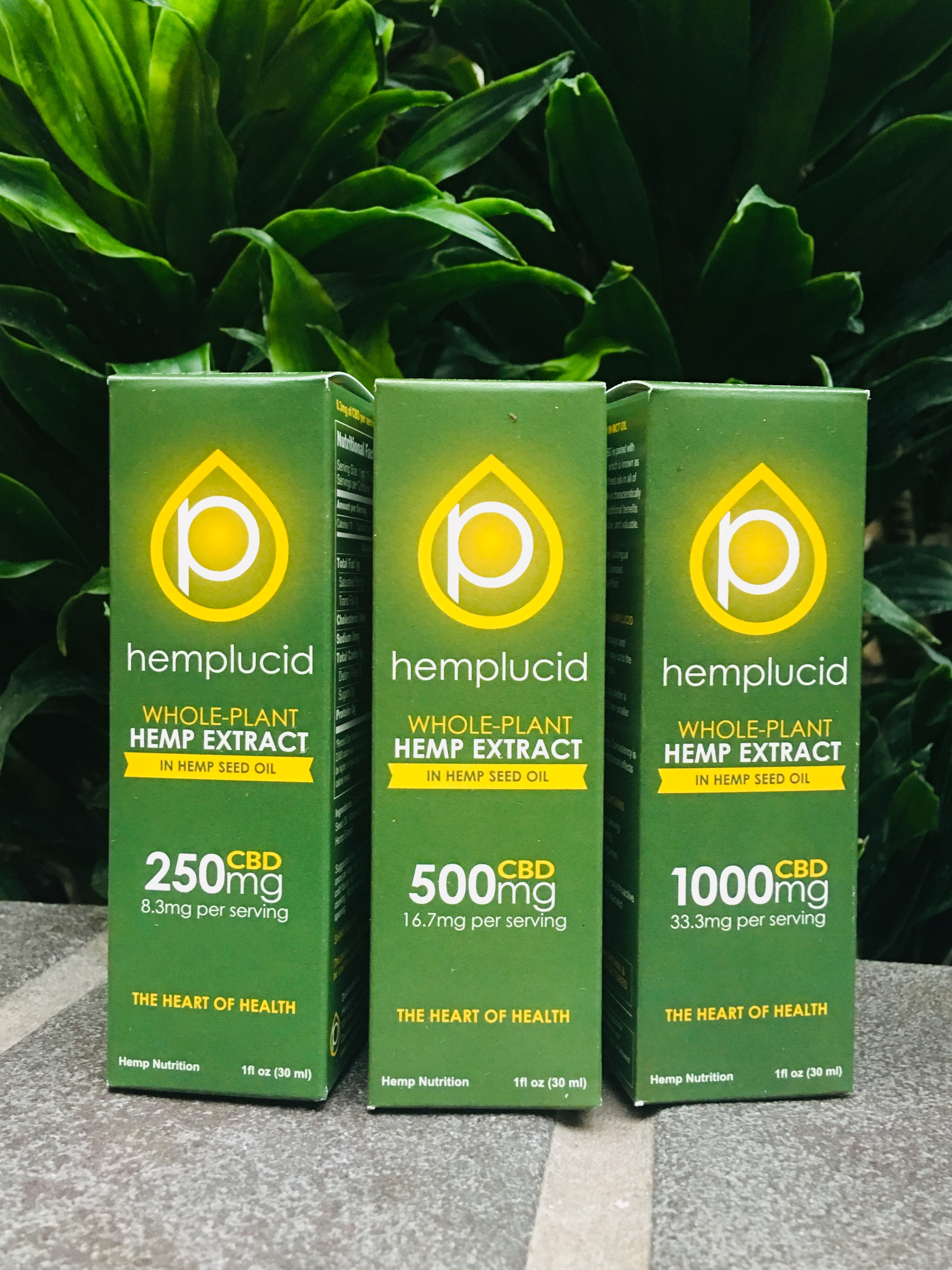 Hemplucid CBD Hemp Oil