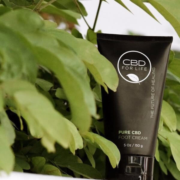 CBD for Life - Foot Cream