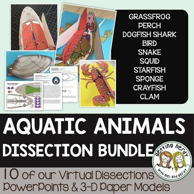 Dissection Models - Aquatic Animals Bundle Dissection Models - Aquatic Animals Bundle