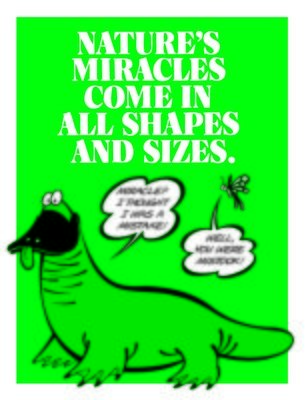 Nature's Miracles Come In All Shapes & Sizes Nature's Miracles Come In All Shapes & Sizes