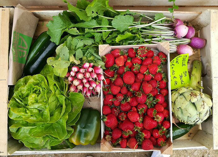 Panier bio pour 3 personnes Panier bio pour 3 personnes