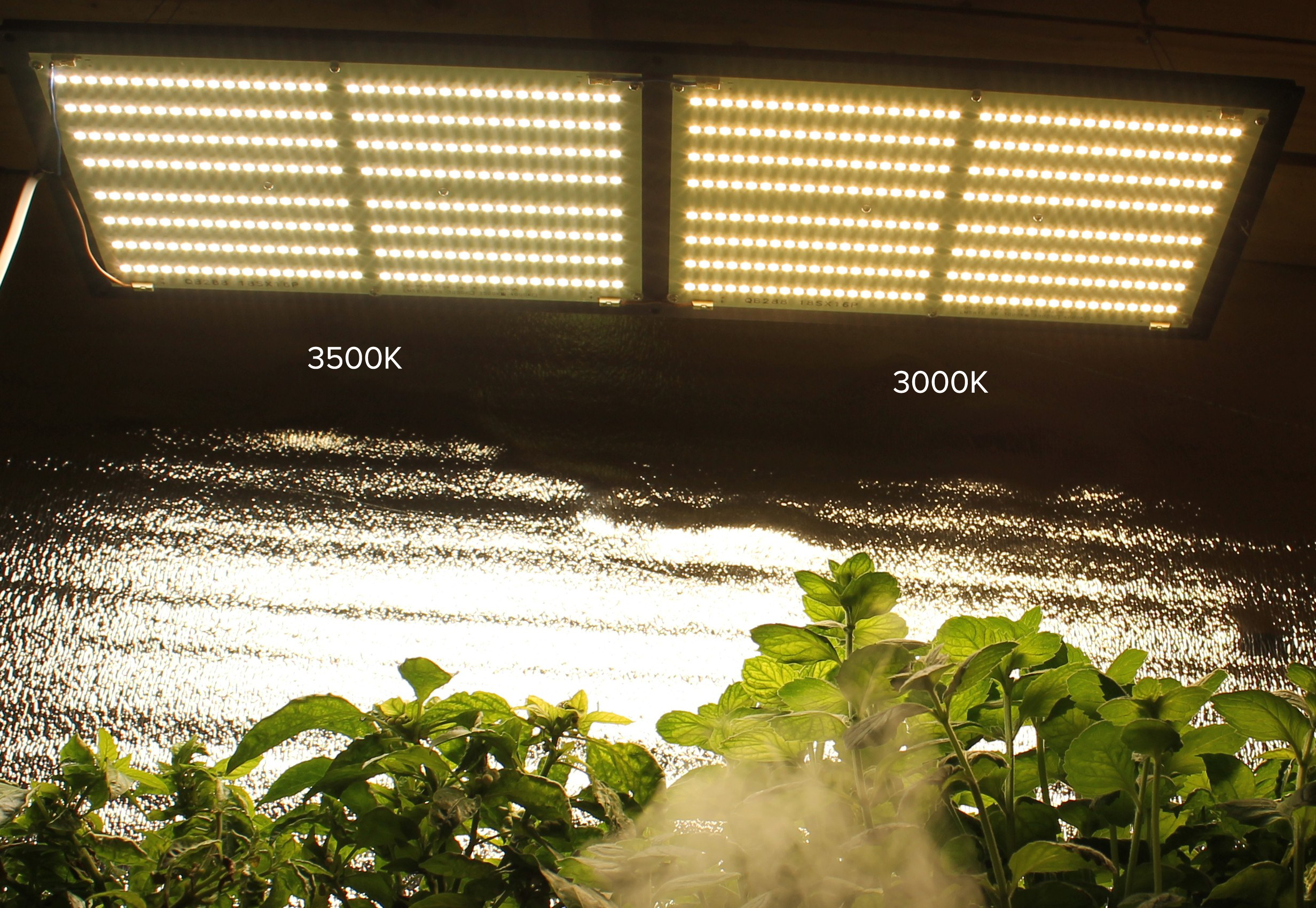 GROW LED лампа Quantum Board 240W QB288 kit