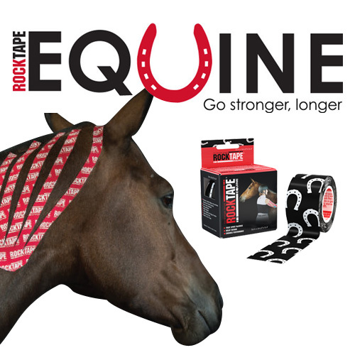RockTape, книга, Equine Taping Manual, лошади