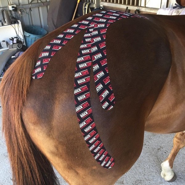 RockTape, Equine, 5см x 5м, логотип (для лошадей)
