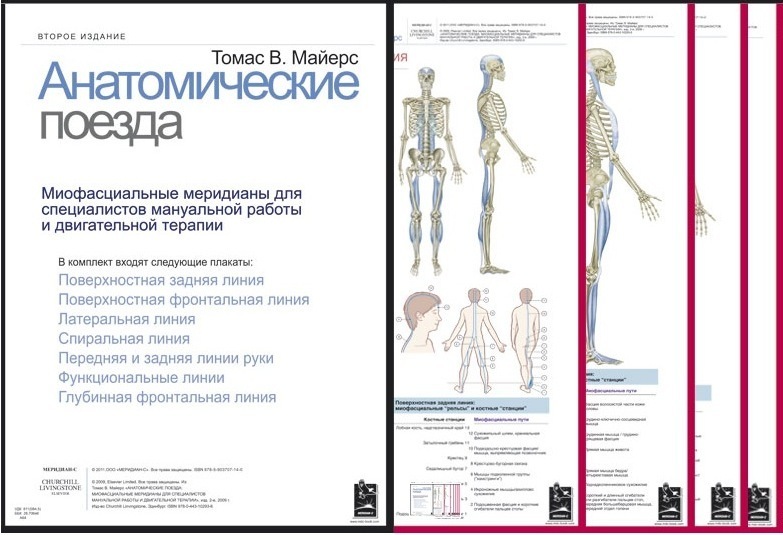 Плакаты, Анатомические поезда, Томас В. Майерс