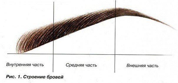 Палетка для коррекции бровей