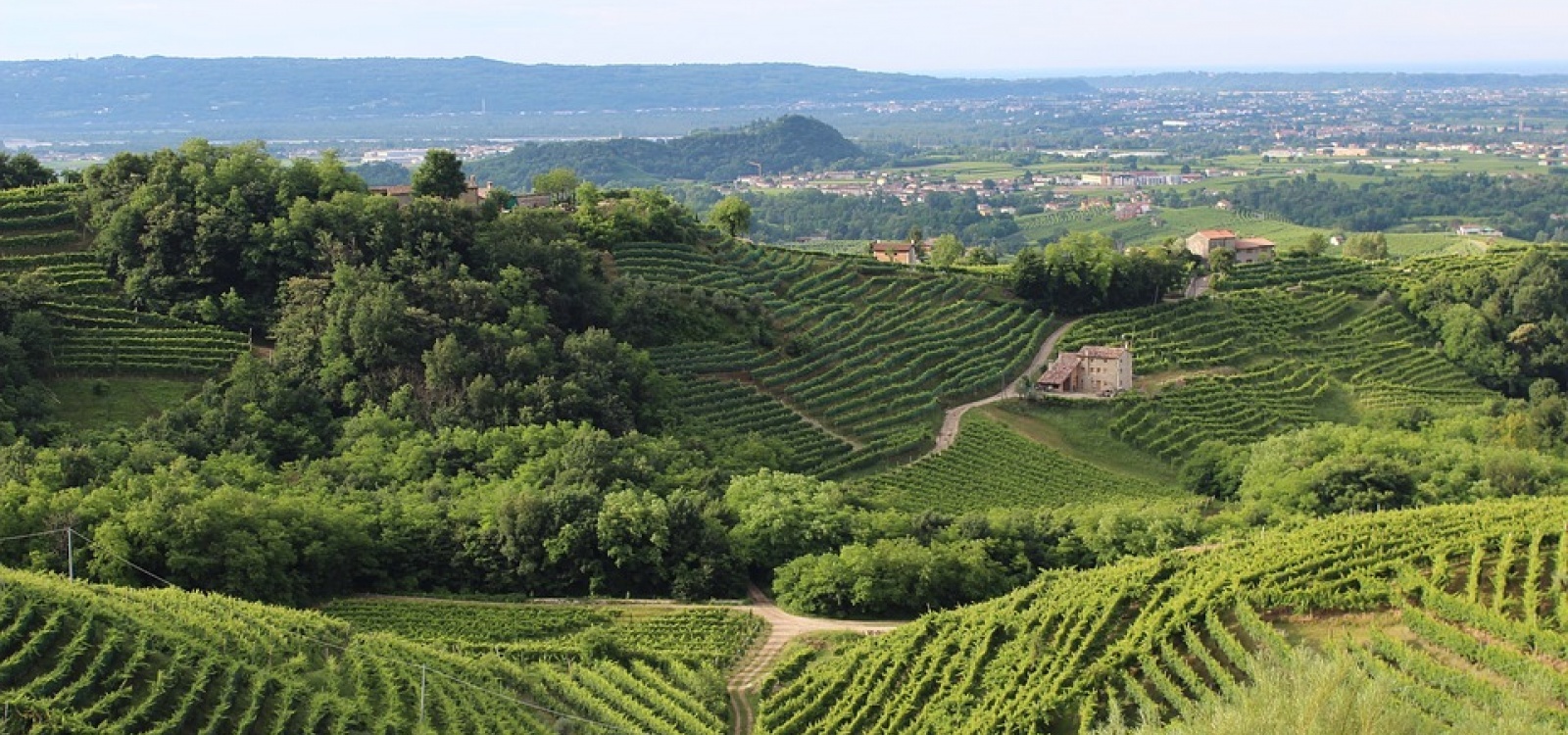 Prosecco Wine Weekend