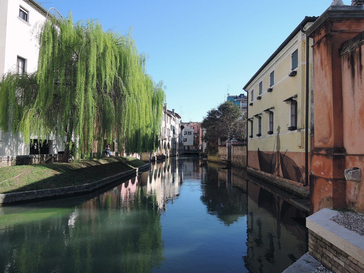 Treviso in Arte
