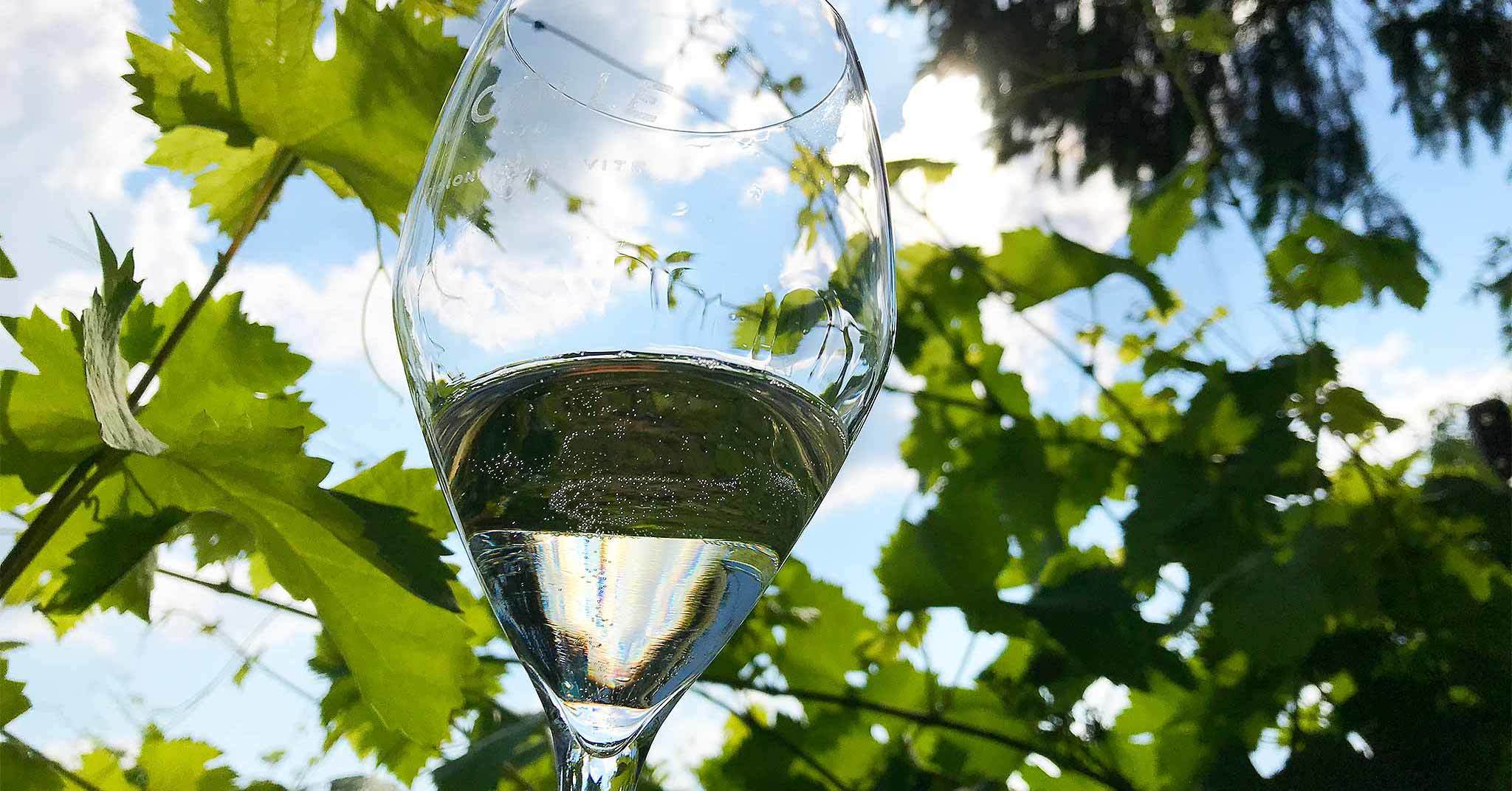 Prosecco Wine Weekend