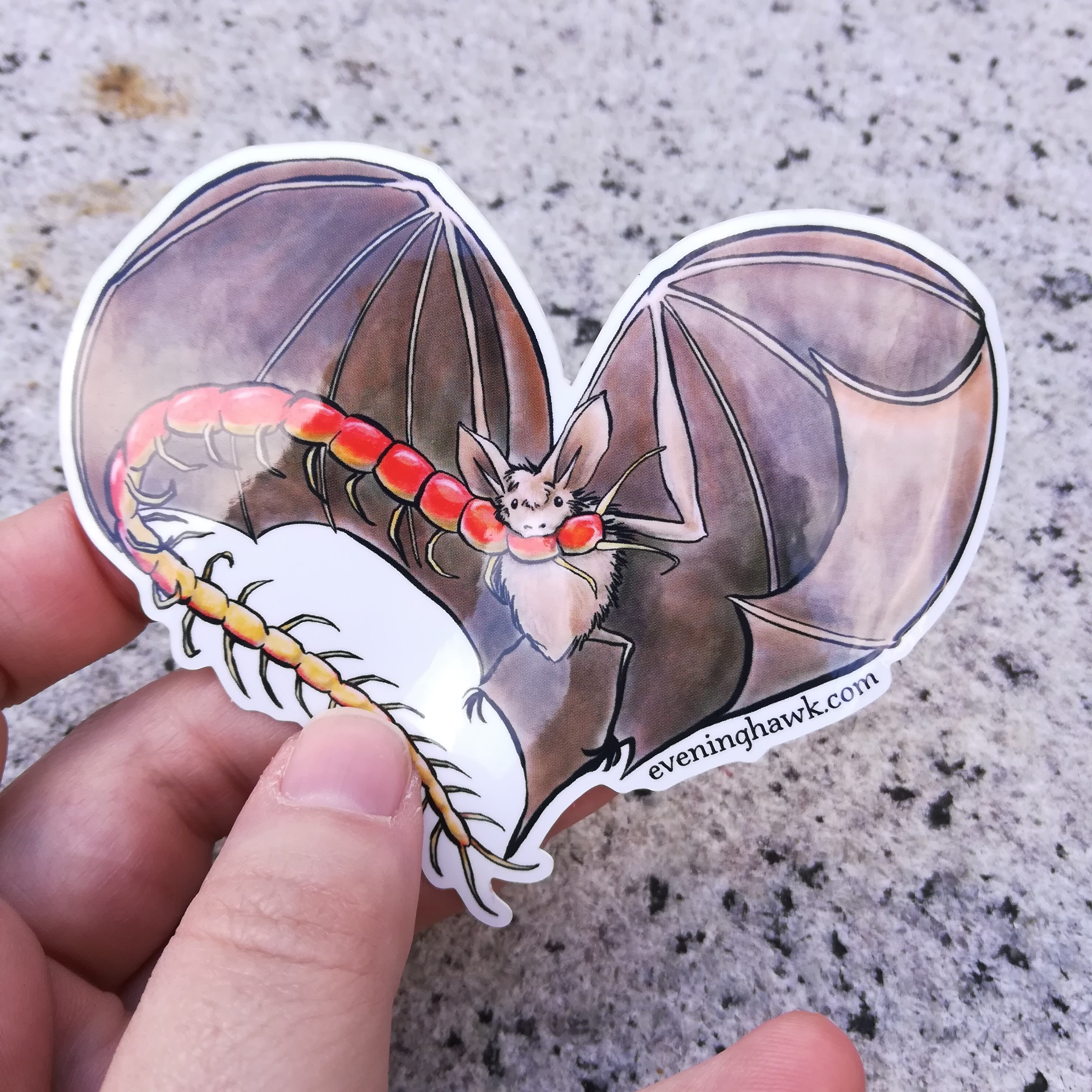 Bat Love