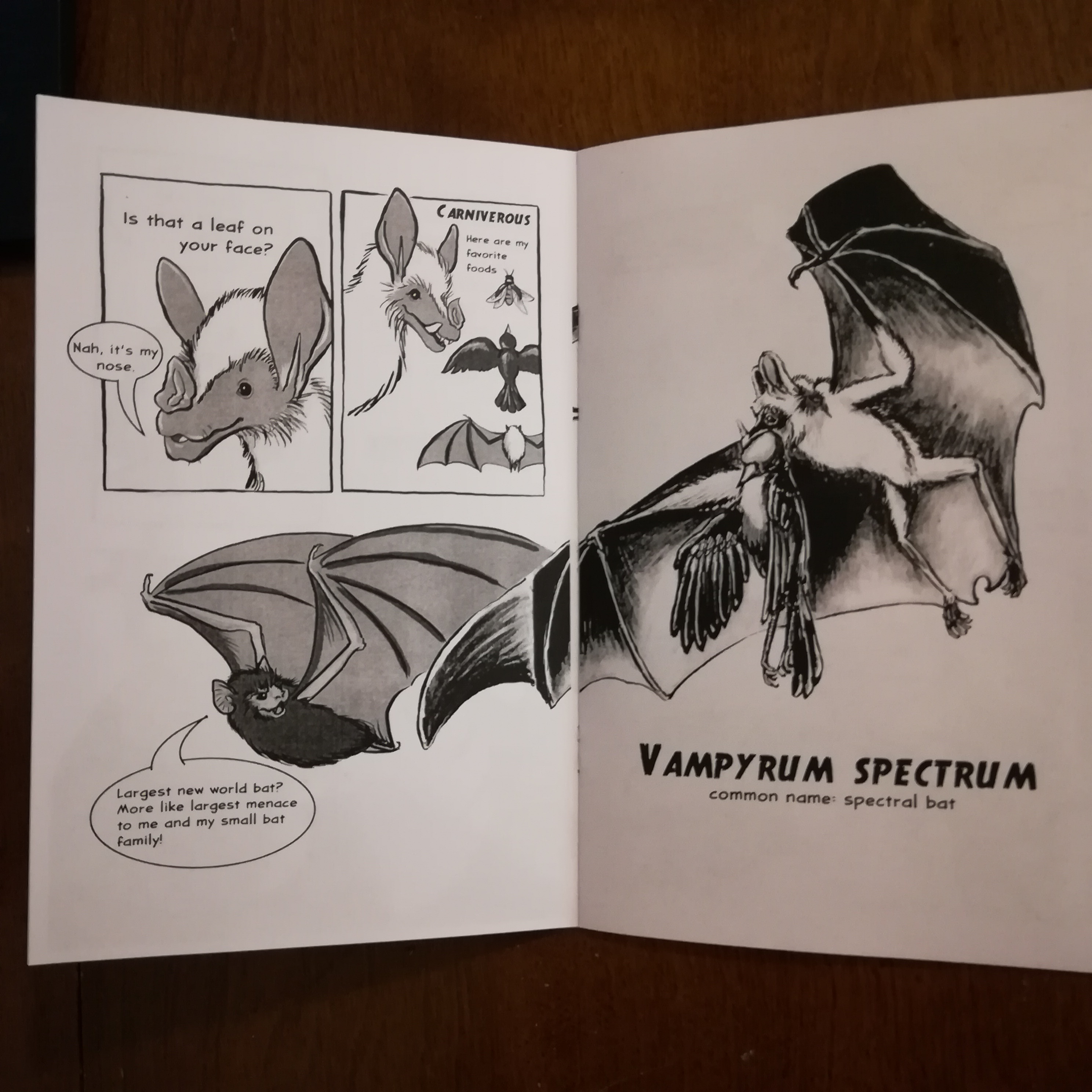 Bats! Volume 1