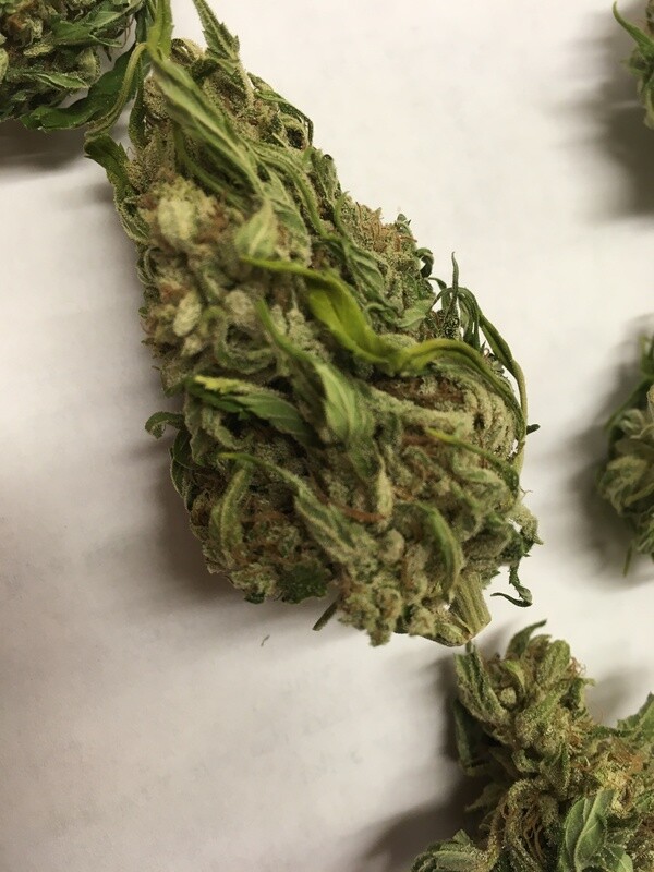 CBG - Low-Temp Dried UNTrimmed (1lb) CBG - Low-Temp Dried UNTrimmed (1lb)