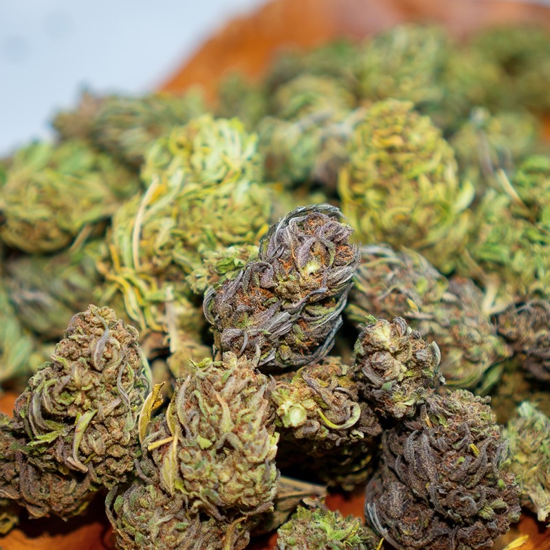 SALE 2018 Special Sauce - Outdoor (lb) SALE 2018 Special Sauce - Outdoor (lb)