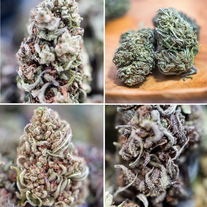 (1lb) Sampler Pack - 4 oz each, Four Cultivars (1lb) Sampler Pack - 4 oz each, Four Cultivars