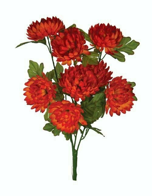 SBF2041OR - 20 SBF2041OR - 20