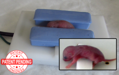 Neonatal Mouse ECG System Neonatal Mouse ECG System