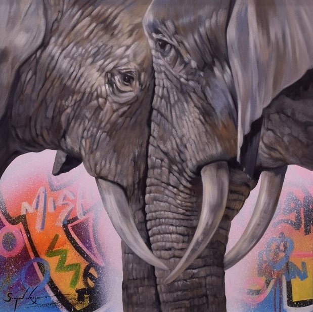 Face To Face - Elephants 11729
