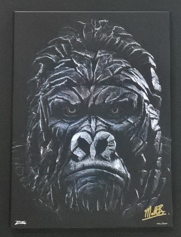 Gorilla - Canvas 11099