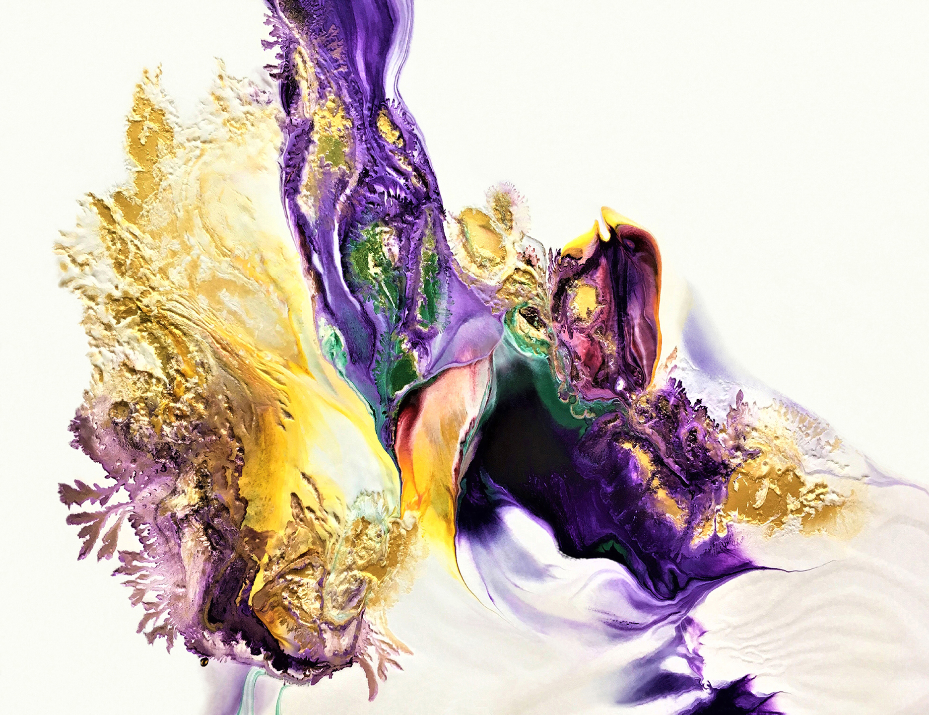Purple Bird 00013