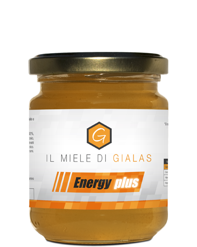 Energy Plus 1866