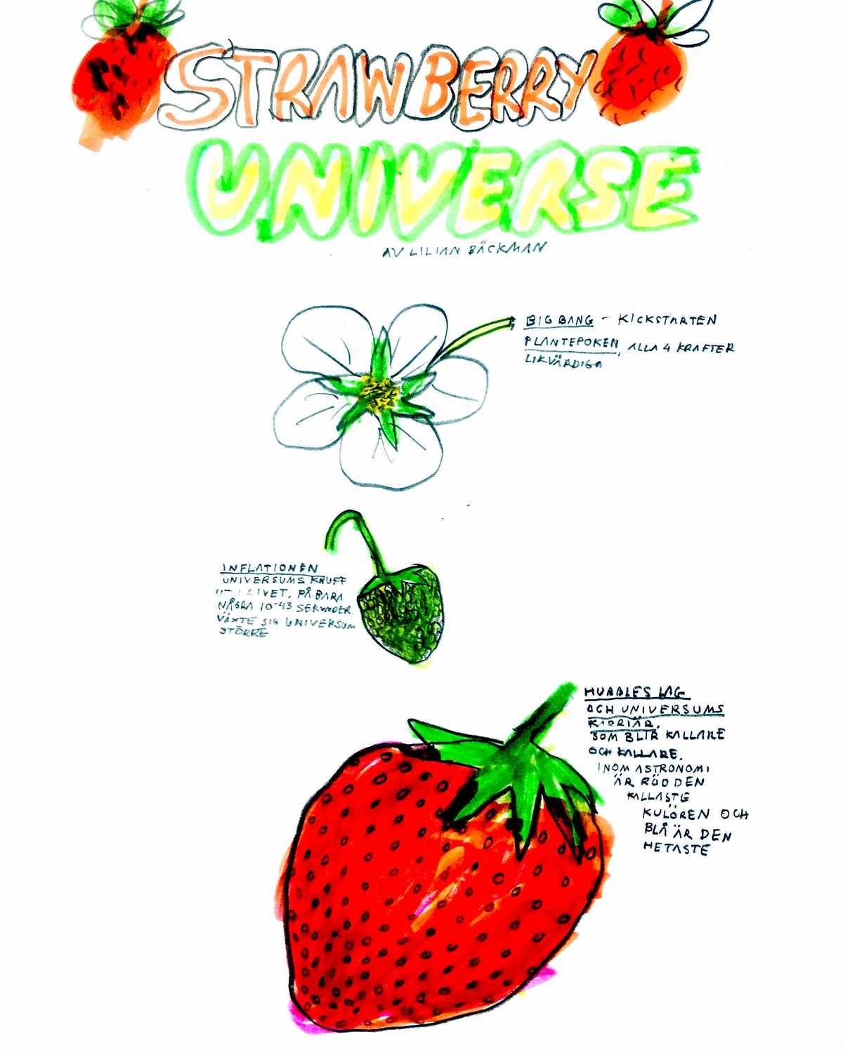 STRAWBERRY UNIVERSE STRAWBERRY UNIVERSE