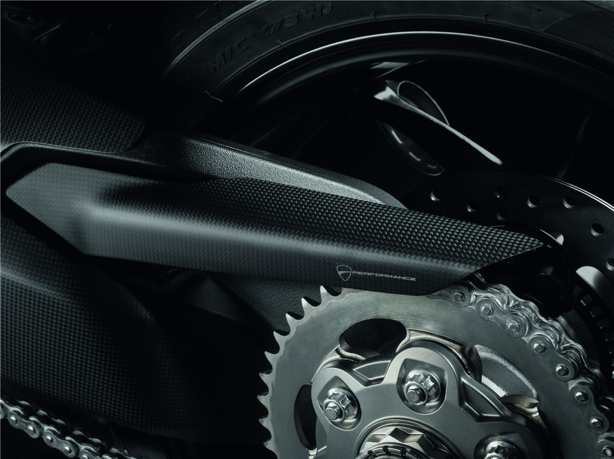 Carbon chain guard.