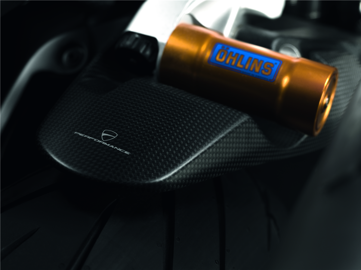 Carbon rear mudguard.