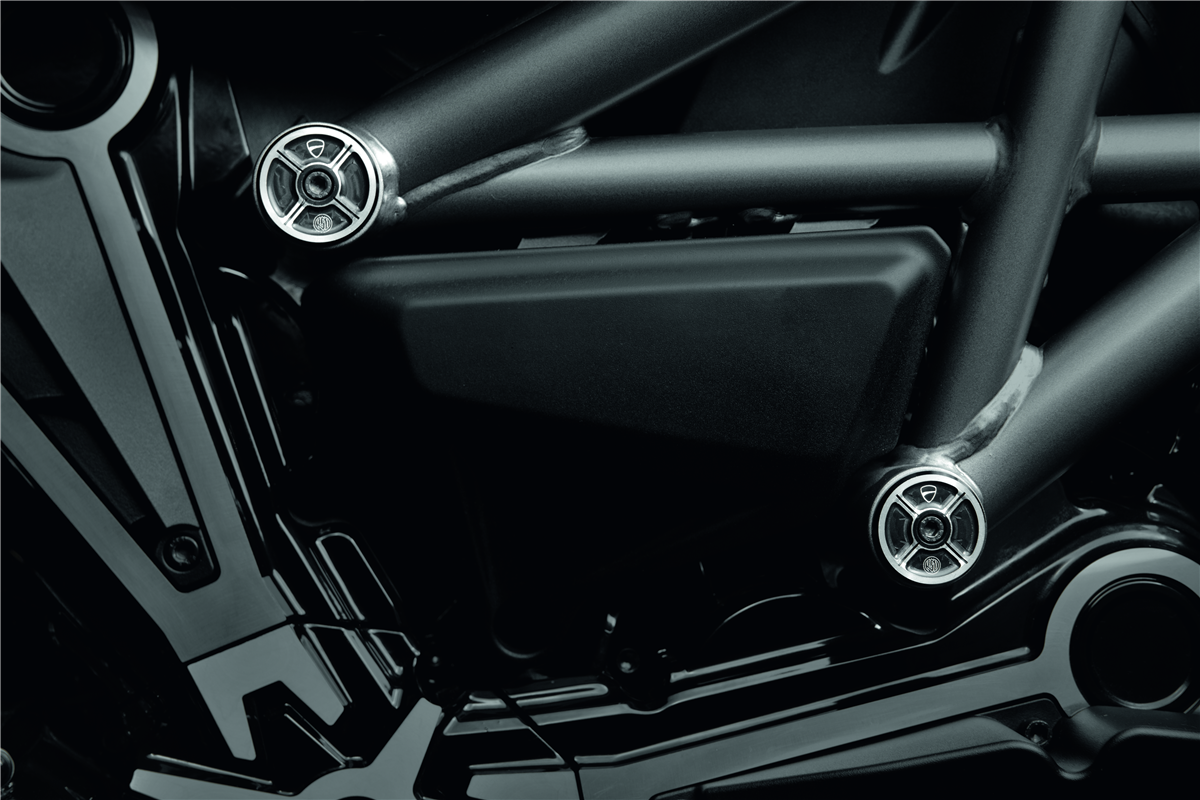 Billet aluminium frame plugs.