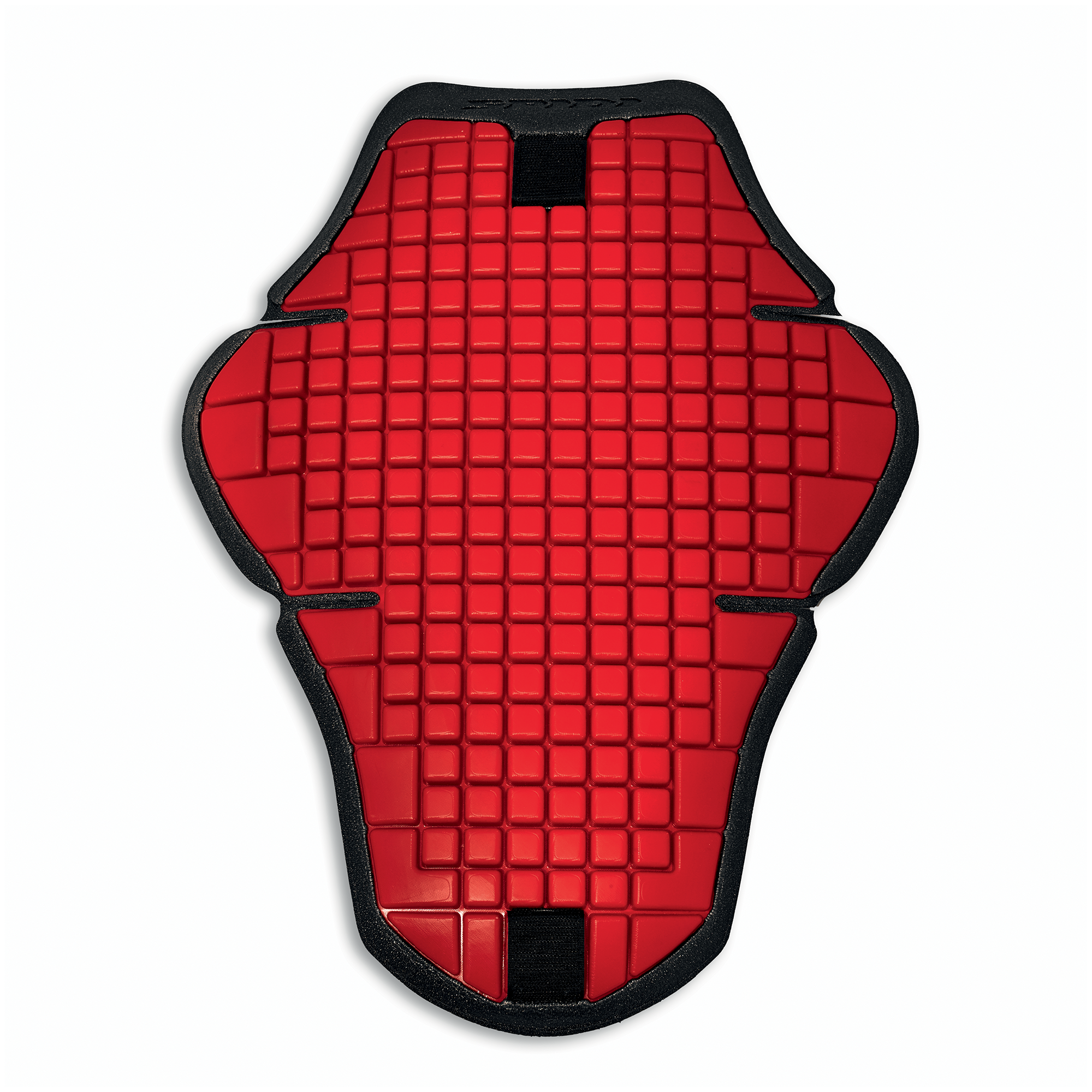 Warrior 2 - Back Protector for prepared leather jacket 981129523