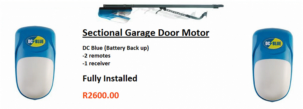 A Dc Blue Sectional Garage Door Motor Special