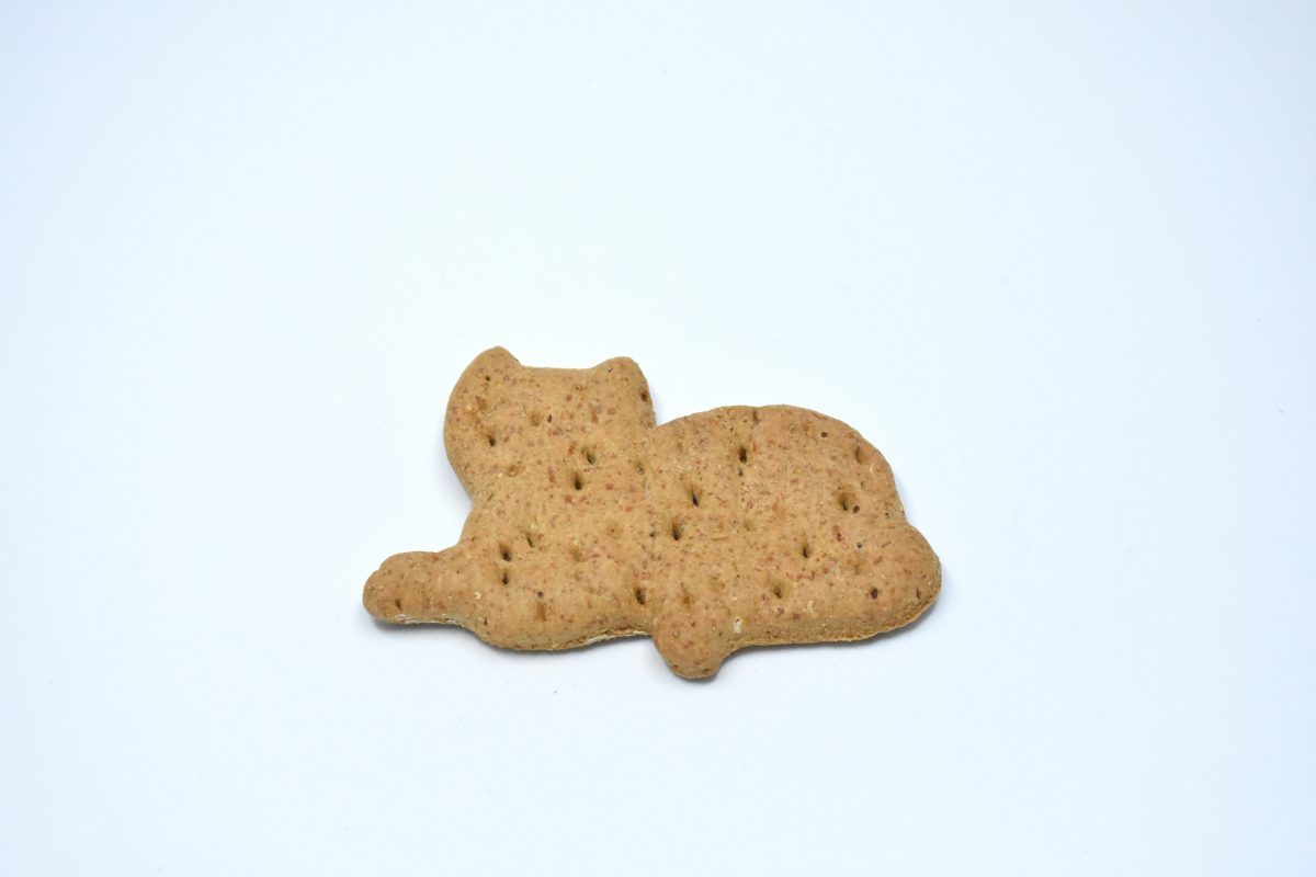 Peanut Meows 00013