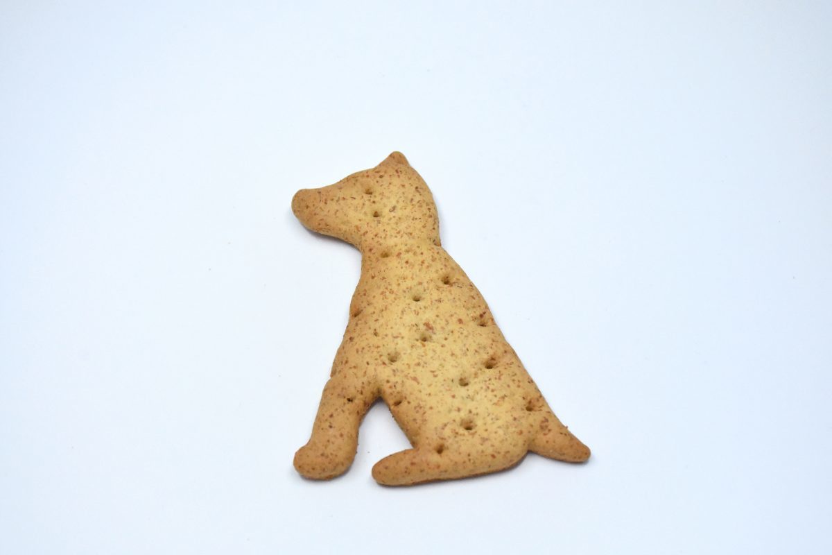 Cheese Dogs 00024