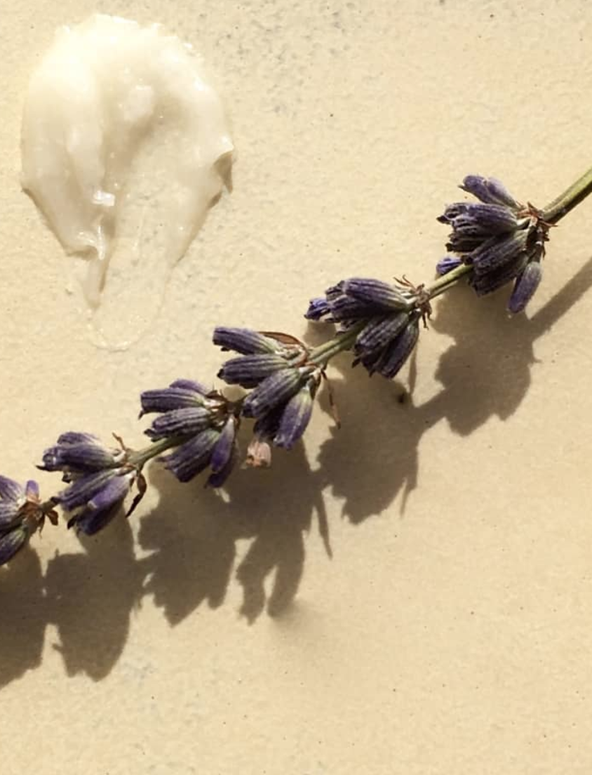 OH MY LAVENDER