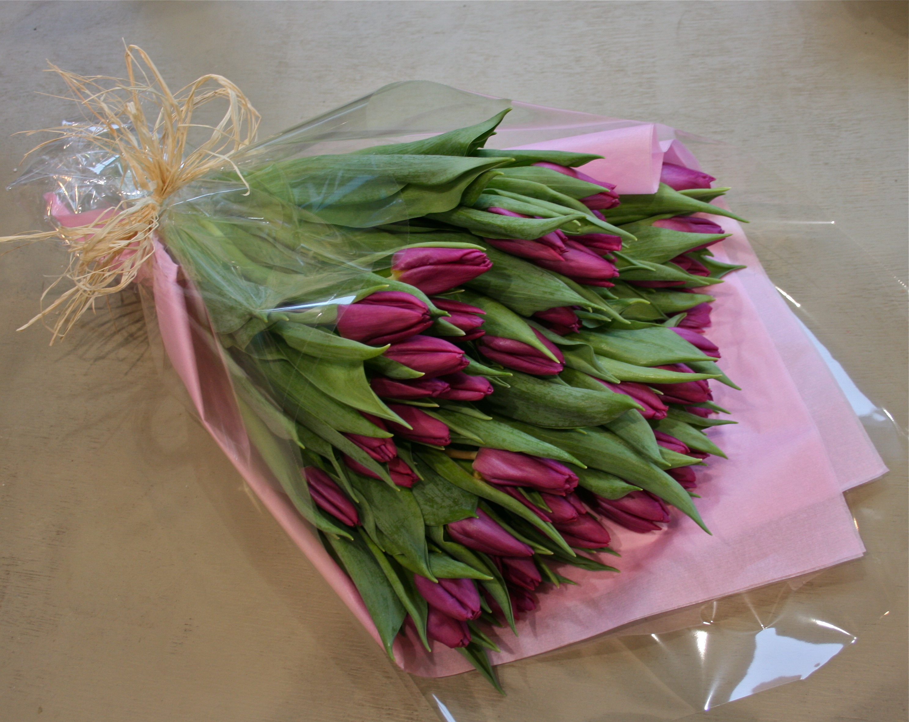 Tulips