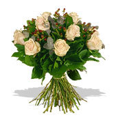 peach avalance Roses 00018