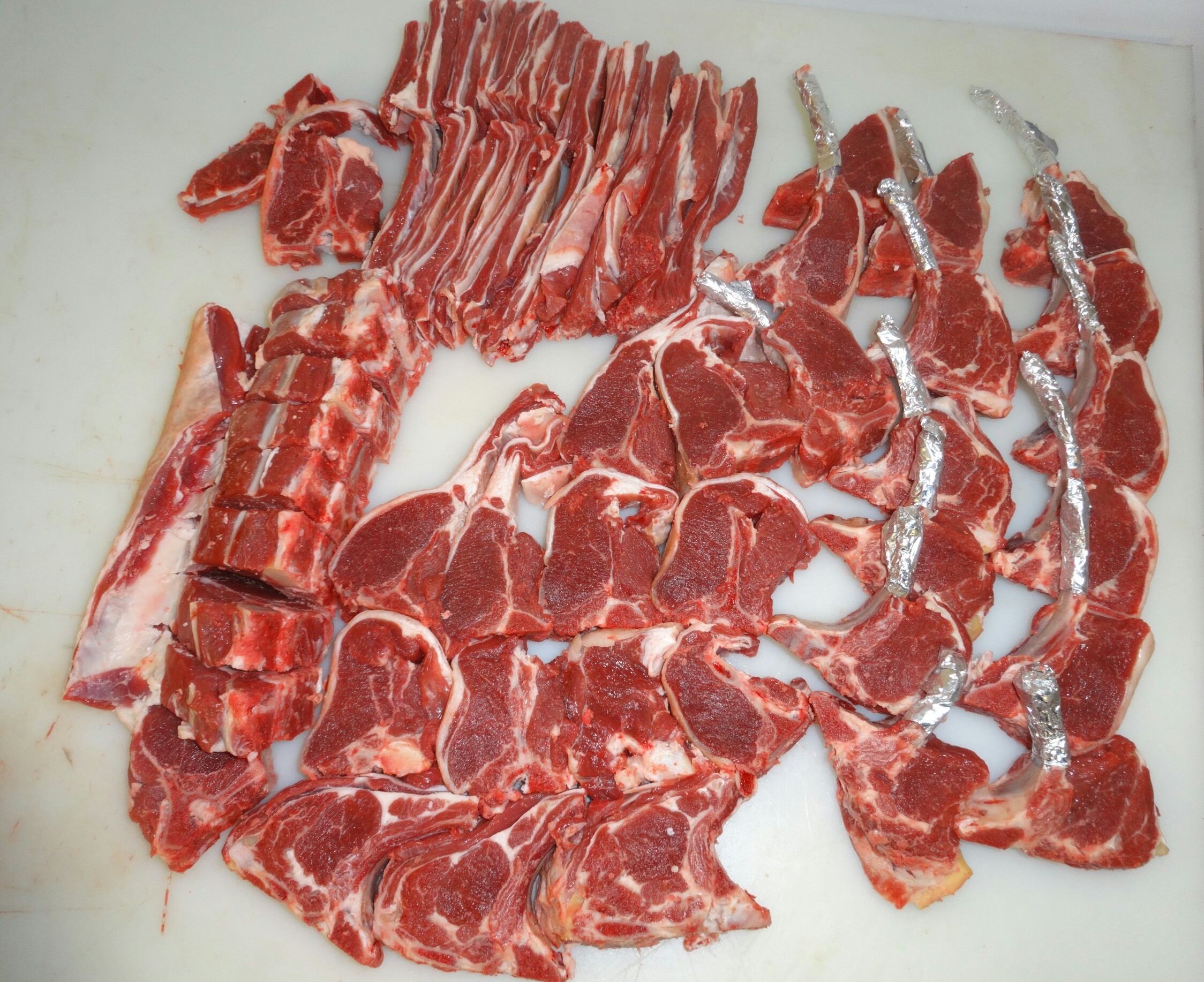 Agnello delle Dolomiti 001