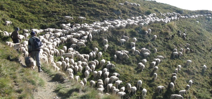 Agnello di Pasqua: confezione mista di degustazione