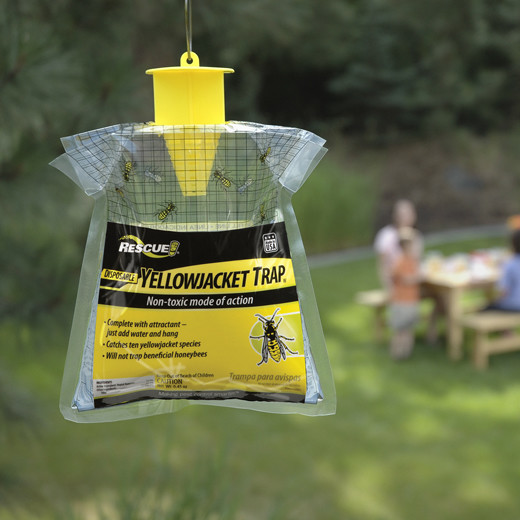 Pheromone Wasp & Yellowjacket Trap Store Old Island Pest Control