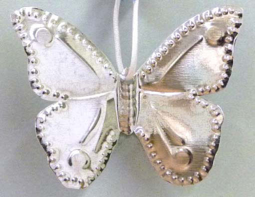Butterfly Butterfly