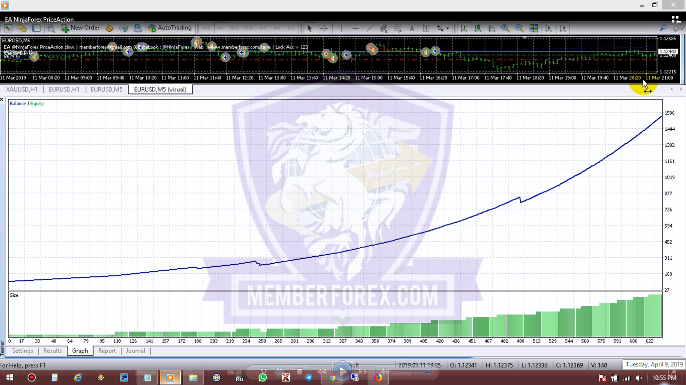 EA @NinjaForex Price Action