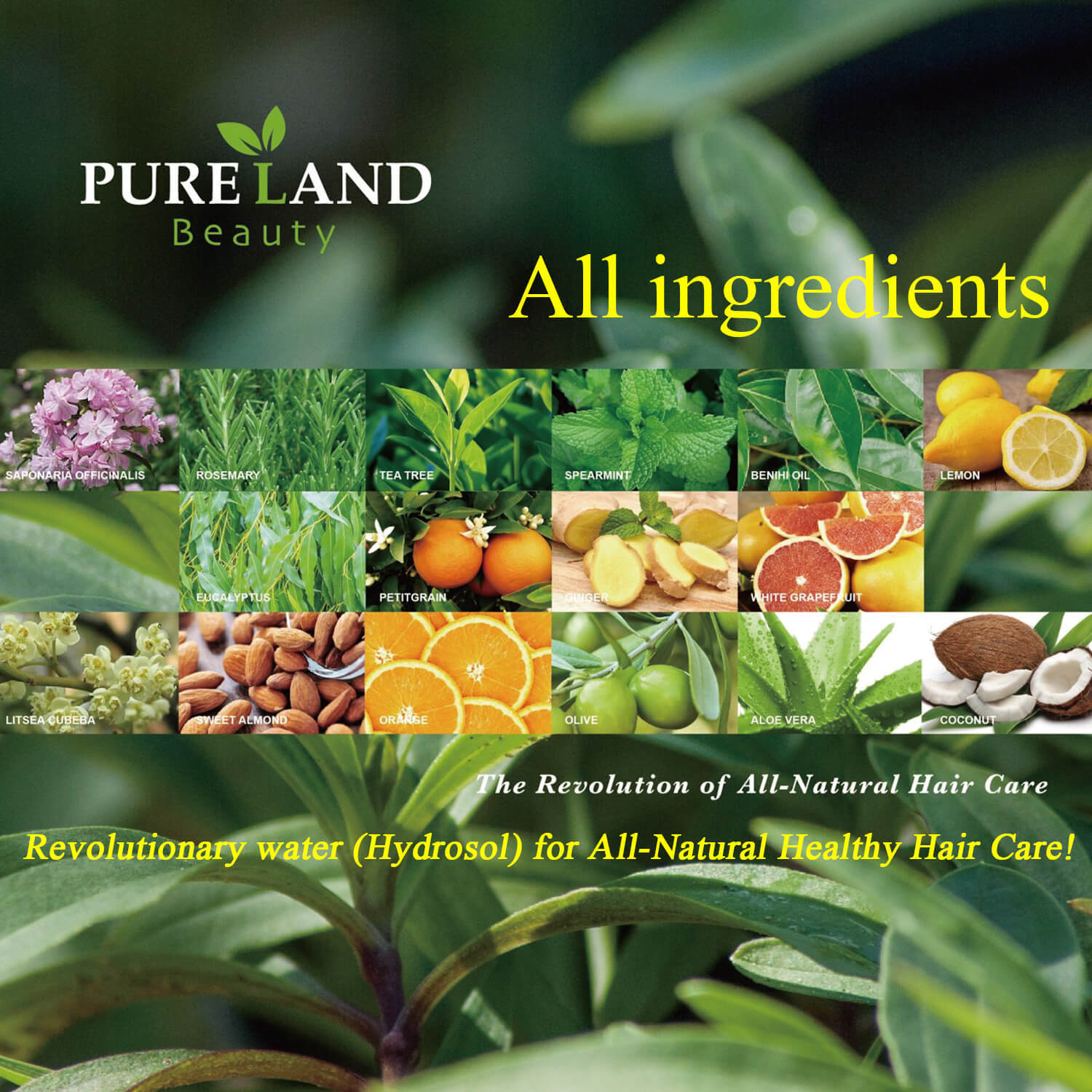 Pureland Beauty Rejuvenate Cleansing Dew and Therapy Blow Cream Set - All Natural Shampoo Can be used for Hair, Face and Body | Leave-In Hair Repair Treatment - Heal, Smooth and Protect