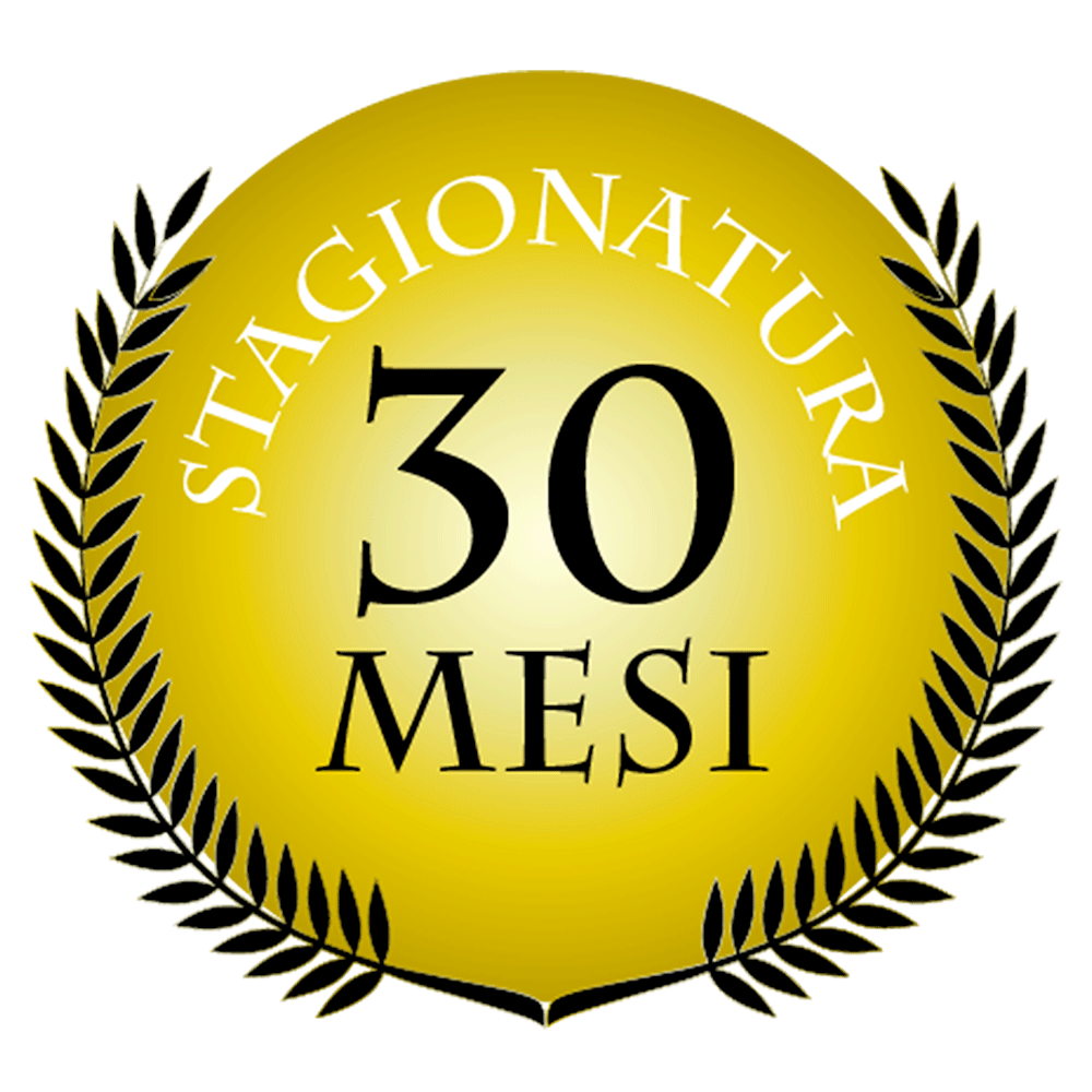 Parmigiano Reggiano DOP BIO "Prodotto di Montagna" 30 mesi 300g
