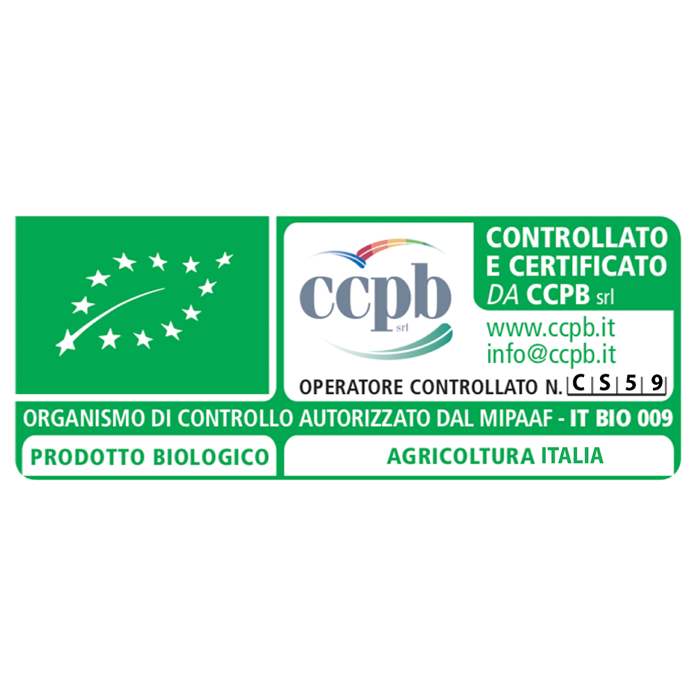 Parmigiano Reggiano DOP "Prodotto di Montagna" 24 mesi 500g