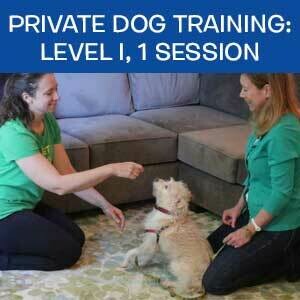 Item 05. Online Private Dog Obedience Training: Level I, 1 Session Item 05. Online Private Dog Obedience Training: Level I, 1 Session
