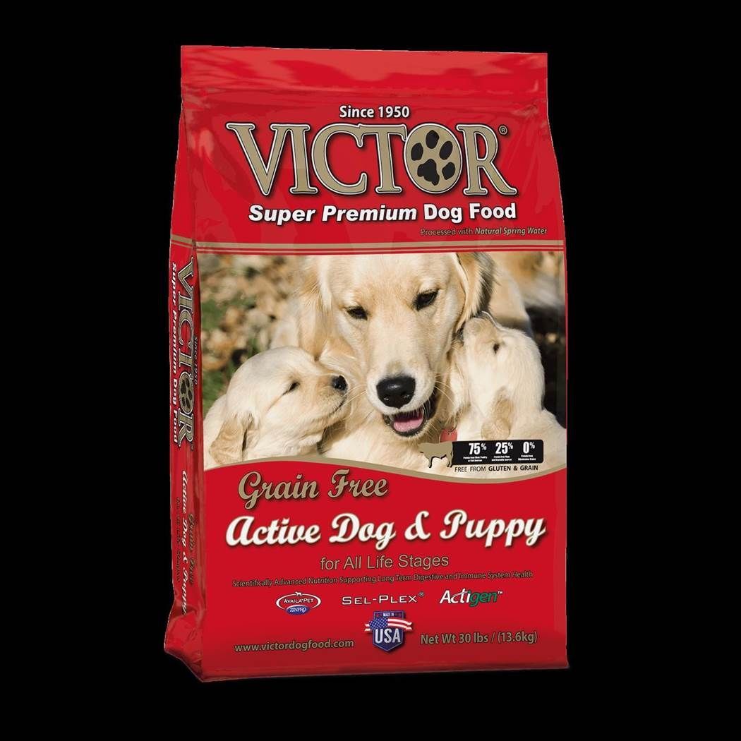 Victor Active Dog and Puppy Formula Dry Dog Food 5lbs-30lbs 00001