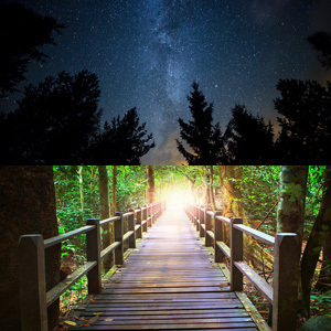 Past Life Soul Regression and Between Lives Soul Regression Discount Package plsr-blsr
