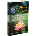 Your Soul's Plan ysp